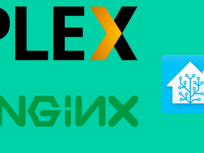 [GUIDA – NGINX] Creare un reverse proxy per esporre Home Assistant e PLEX (indirettamente)