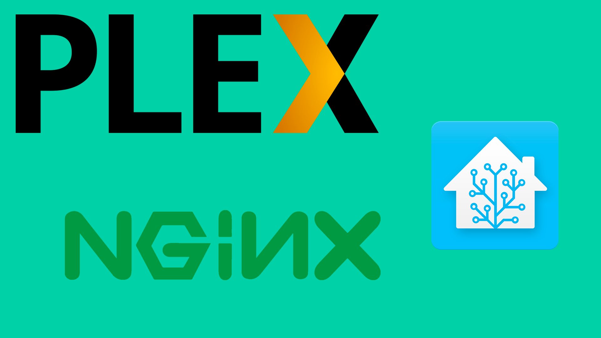 [GUIDA – NGINX] Creare un reverse proxy per esporre Home Assistant e PLEX (indirettamente)